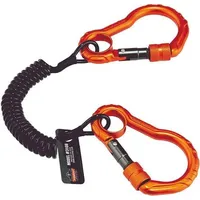 Ergodyne international TENACIOUS Werkzeughalter 3166 Doppelkarabiner