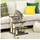 PawHut Katzentreppe 3-stufige Hundetreppe 48 cm Grau