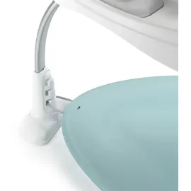 Ingenuity Ingenuity, Spring & Sprout, First Forest,