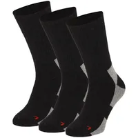 Apollo Basicsocken 3er Pack Bunt 39-42