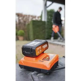 Powerplus Dual Power Akku 40 V 2,5 Ah