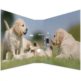 Herma Motivordner Hunde 7,0 cm DIN A4