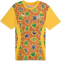 Puma Ghana 24/25 Vor Dem Spiel Kurzarm-t-shirt - Yellow