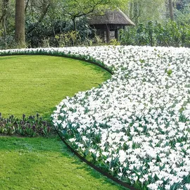 Woltu Flexible Rasenkante Kunststoff mit 30 Erdanker, Garten Beeteinfassung Länge 10 m, Höhe 5 cm, Rasenbegrenzung Wurzelsperre System Schwarz