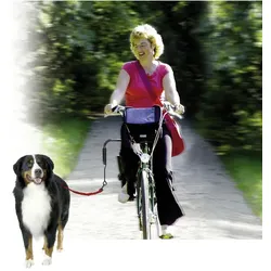 Fahrradzubehör, für Hunde, Metall, schwarz