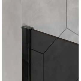 Bernstein Duschabtrennung Bernstein EX101 Walk-In Nano 8mm Echtglas Schwarz graues Glas 110cm