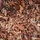 Galamio Rindenmulch Kiefer Grob 60l x 39 Sack 2340l Palette