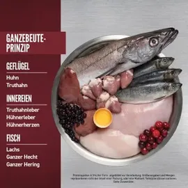 Orijen Small Breed Puppy Huhn, Truthahn & Fisch 4,5 kg