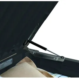KETER Aufbewahrungsbox 72,4 x 155 x 64,4 cm Anthrazit