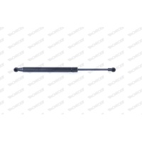Monroe Motorhaubendämpfer 450N für BMW X1