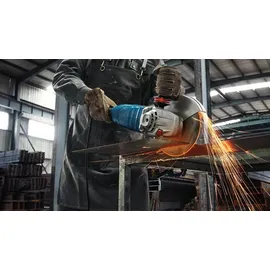 Bosch GWS 24-230 P Professional