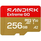 SanDisk Extreme GO 256 GB SDSQXGN-256G-GN6MN