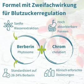 Igennus Healthcare Nutrition Fortschrittliches Berberin Phytosom 550 mg & Chrom Picolinat Kapseln 60 St.