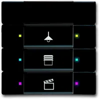 Busch-Jaeger 6129/01-885