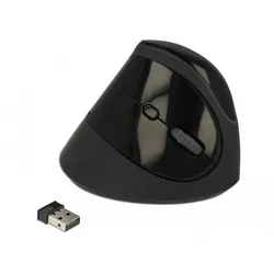 Delock Ergonomic - kabellose vertikale Maus - Schwarz