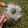 Gre Poolroboter Wet Runner RBR75