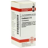 DHU-ARZNEIMITTEL CANTHARIS C12