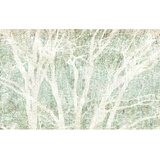 KOMAR Vliestapete Grün, Weiß, Bäume, 400x250 cm, x 250 cm