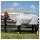 Horseware Amigo Bug Rug Fliegendecke 165 cm XL Silber