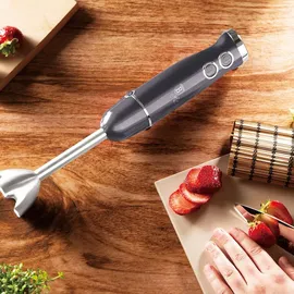 Berlinger Haus BH/9382 Stabmixer