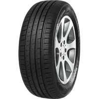 MINERVA F209 195/55 R16 91V XL