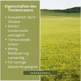 Kiepenkerl Rasensamen Sunny Green für trockene, Standorte 10 kg