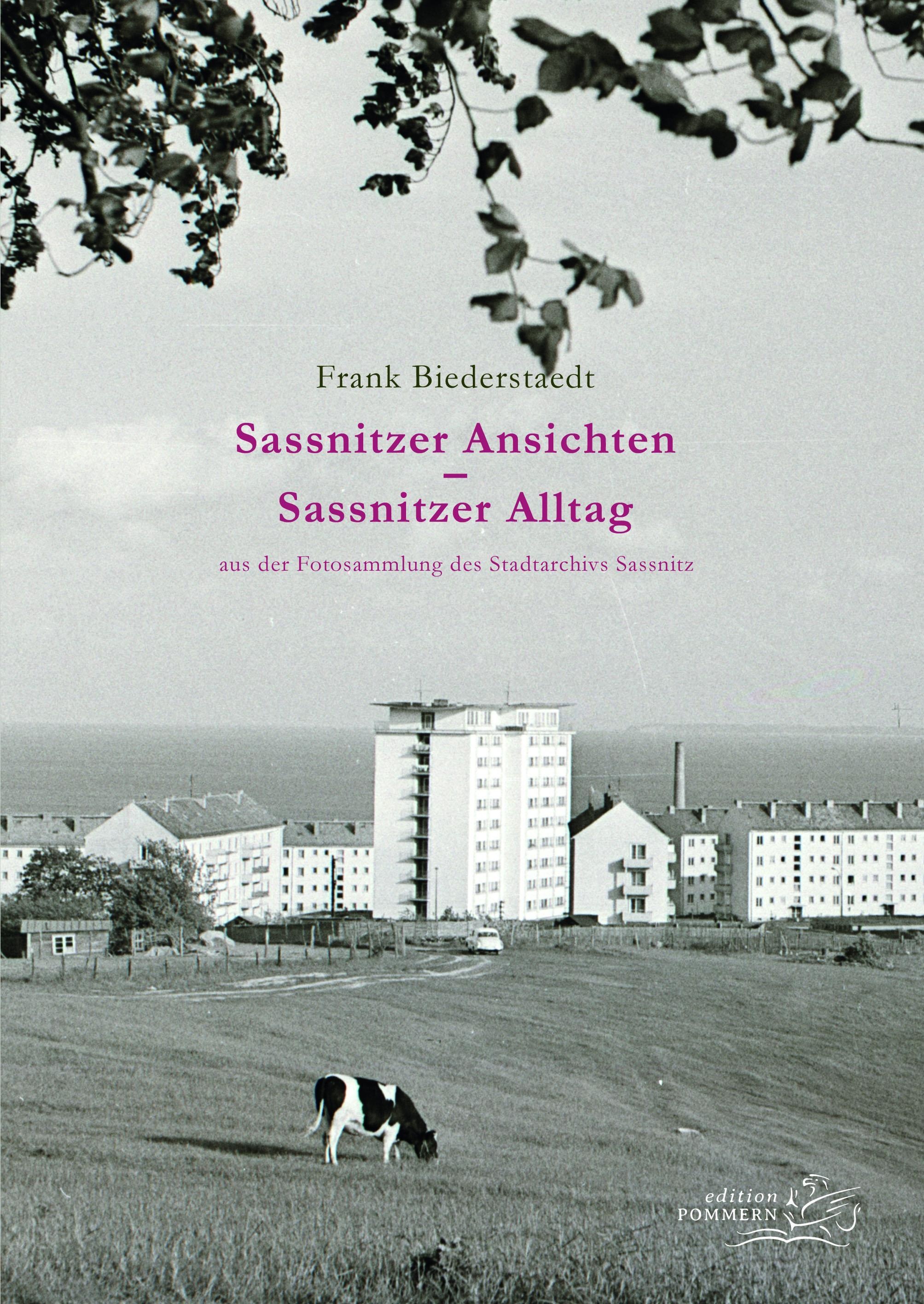 Sassnitzer Ansichten - Sassnitzer Alltag - Frank Biederstaedt  Kartoniert (TB)