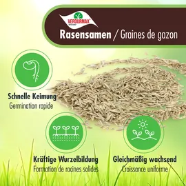 verdurmax® 2x 1 kg VERDURMAX® Rasensamen