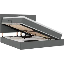 vidaXL Bett mit Stauraum und LED Dunkelgrau 160 x 200 cm