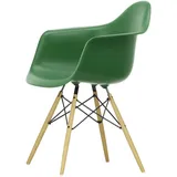 Vitra - Eames Plastic Armchair DAW RE, Esche honigfarben / smaragd (Filzgleiter basic dark)
