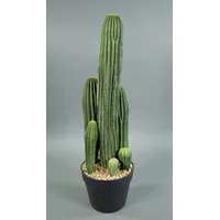 Seidenblumen Roß Säulenkaktus 62cm im Topf DP Kunstpflanzen künstliche