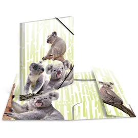 Herma Sammelmappe Tiere A3 koalafamilie