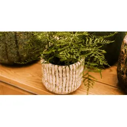 Plant Pot Senja