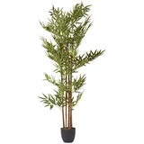 Homescapes Kunstbaum Bambus 155 cm