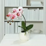 Kunstblume Orchidee  (Pink, 33 cm)