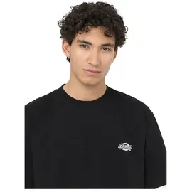 Dickies T-Shirt T-Shirt Dickies Summerdale schwarz XL