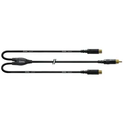 Cordial INTRO CFY 0,3 CEE, 0,3 m, REAN Cinch gold / 2 x Cinchbuchse gold