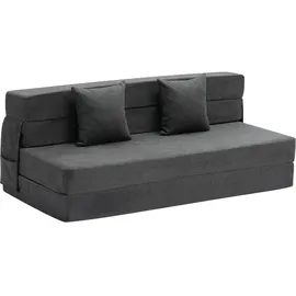 Vevor Schlafcouch 2-Sitzer Dunkelgrau