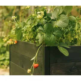 upyard Hochbeet GardenBox I-Box ca. B120/H40/T80 cm, Schwarz