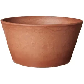 Arcadia Garden Products PSW Pot TD25TC Collection Pflanzgefäß für Sukkulenten, Bonsai, Feengärten, Kräuter, 25,4 cm, Terrakotta-Farbe