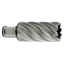 HSS-Kernbohrer, Weldonschaft 19mm (3/4") ø19 x 55mm (626528000)
