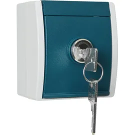 Busch-Jaeger Schuko-Steckdose 20 EWSL-53 Aufputz Grau/Blaugrün