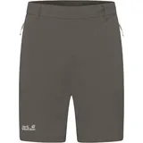 Jack Wolfskin - Hikeout Shorts - Shorts Gr 56 braun/grau