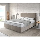 DeLife Dream-Well 160 x 200 cm H2  beige