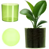 Kadax Ø 12,8 x 11,8 cm Grün