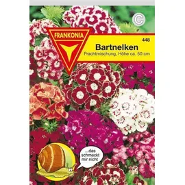 Philipp Klein GmbH Bartnelken Prachtmischung