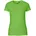 O81001 lime S