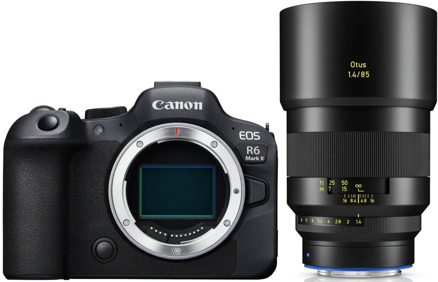 Canon EOS R6 II + ZEISS Otus ML 85mm f1,4