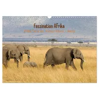 Calvendo Faszination Afrika - wilde Tiere der Masai Mara