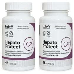 LAB-V Hepato Protect - Unterstützung der Leberfunktion für Hunde und Katzen 2x45 Kapseln